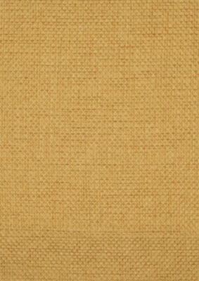 Home Mustard Textured Weave Eyelet Curtains Home & Garden