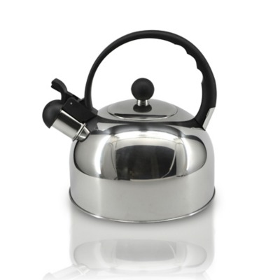 Stainless Steel Stove Top Kettle | Home 