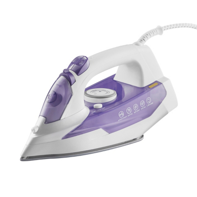 home steam iron