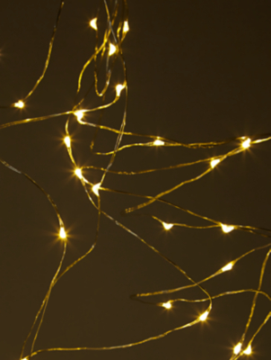 100 LED Rice String Lights | Home 