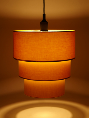 dinosaur lamp shade asda