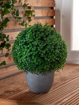 Topiary Ball in Planter Outdoor & Garden at ASDA