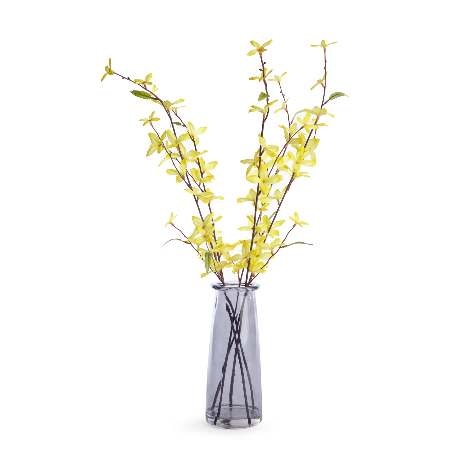 George Yellow Forsythia Arrangement In Bottle Vase