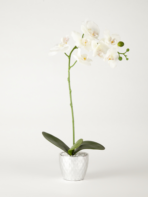 where to buy artificial orchids