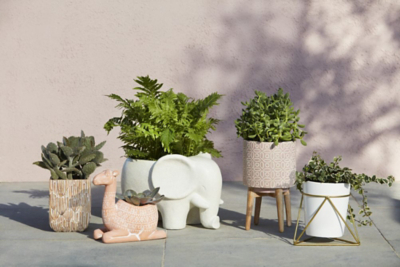 Wood Effect Cactus Patterned Planter Outdoor Garden George At Asda