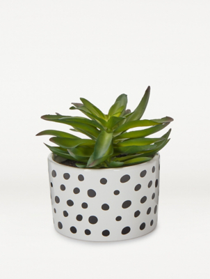 Artificial Succulent In Spotty Pot 15 5cm Home George At Asda