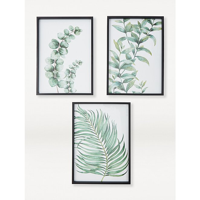 Green Plants Framed Print 3 Pack Home George At Asda - Plant Wall Art Print