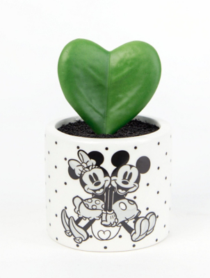 Artificial Plants Flowers Vases Fake Plants George At Asda