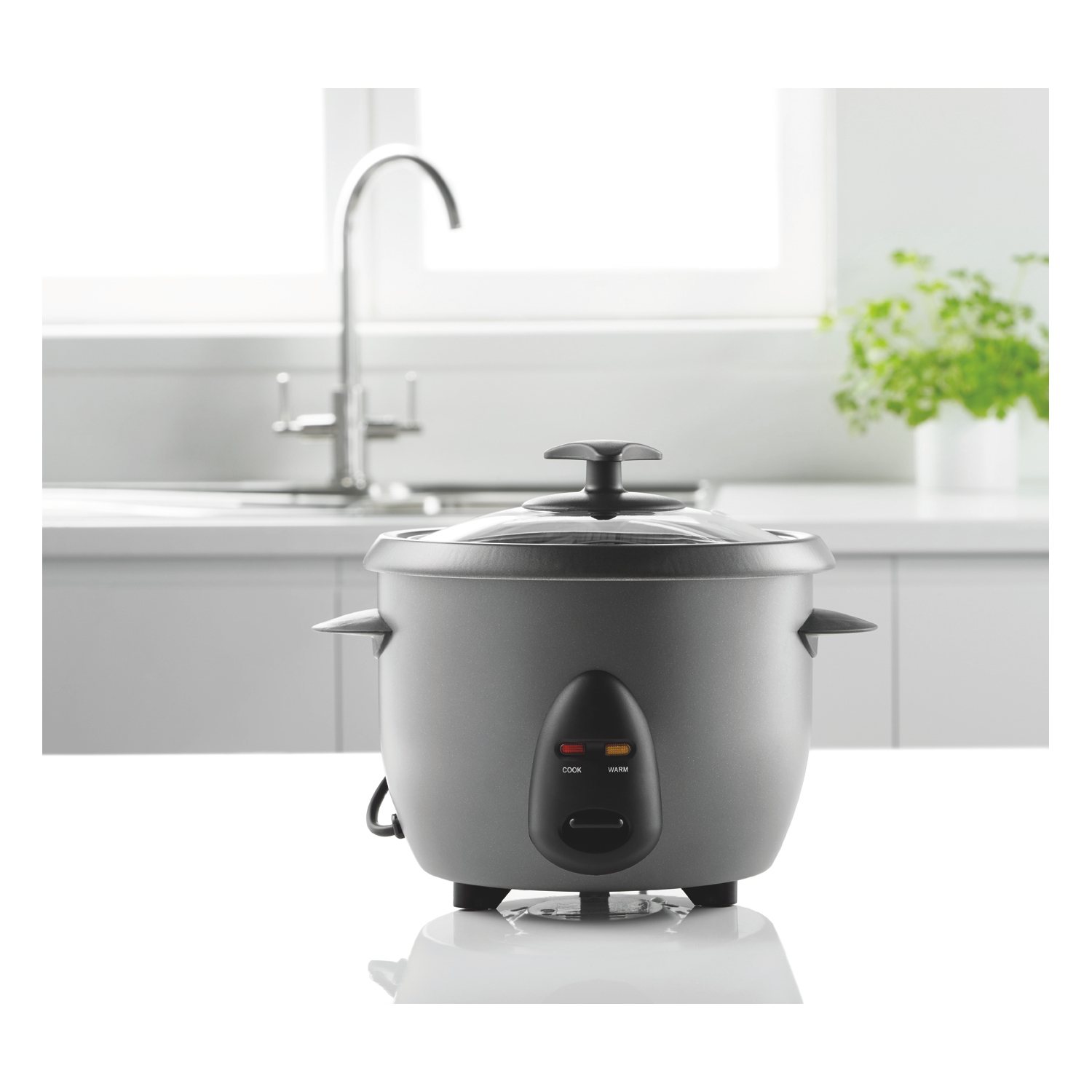 George Silver Rice Cooker