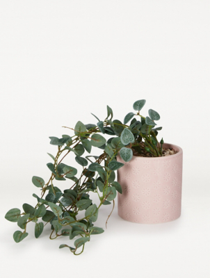 Trailing Plant in Ceramic Pink Pot Home at ASDA