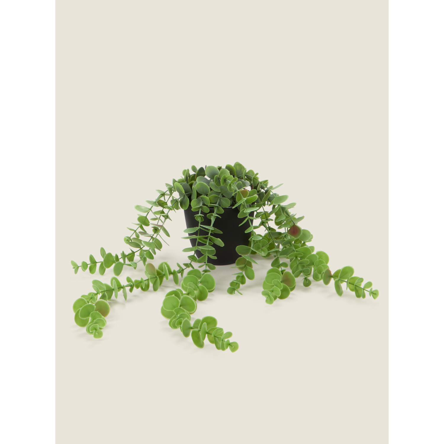 George Green Artificial Trailing Eucalyptus In Matt Black Pot