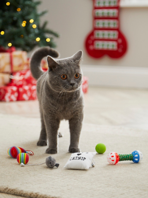 Christmas Cat Toy Stocking Home at ASDA