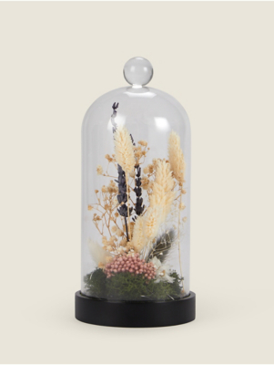22cm Dried Floral in Glass Dome Home at ASDA