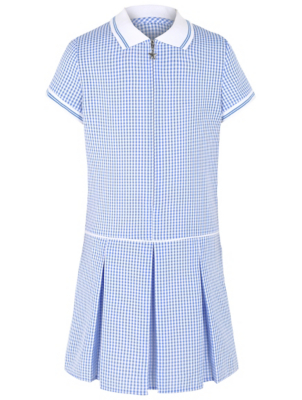 navy gingham school dress