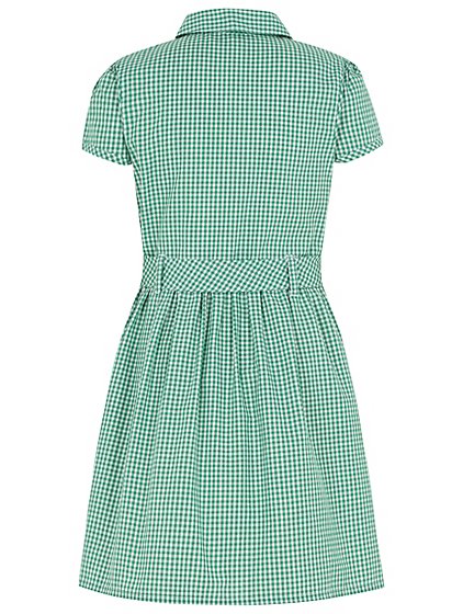 Girls Green Gingham School Dress | School | George