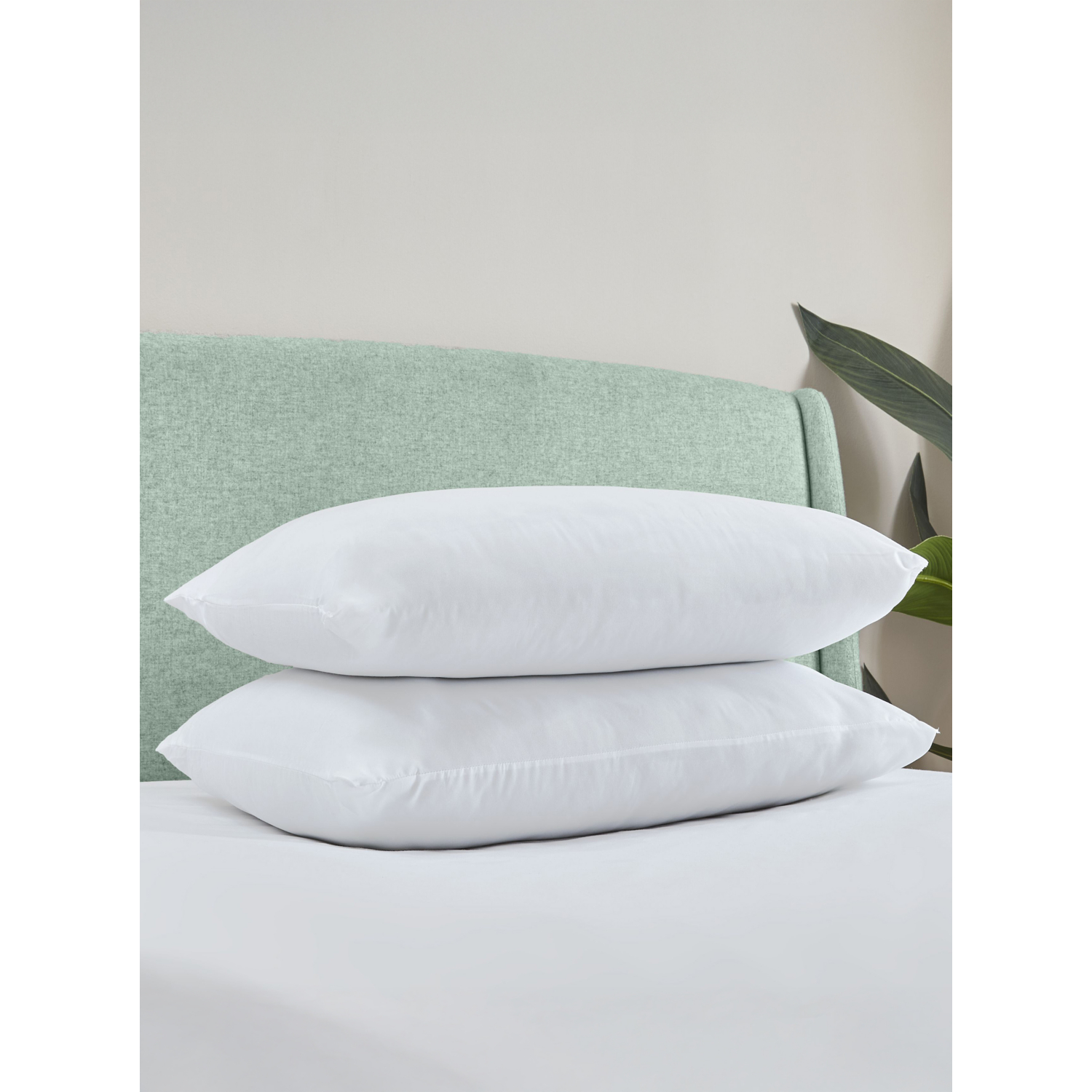 Cat White Catherine Lansfield Anti Allergy Pillow Pair
