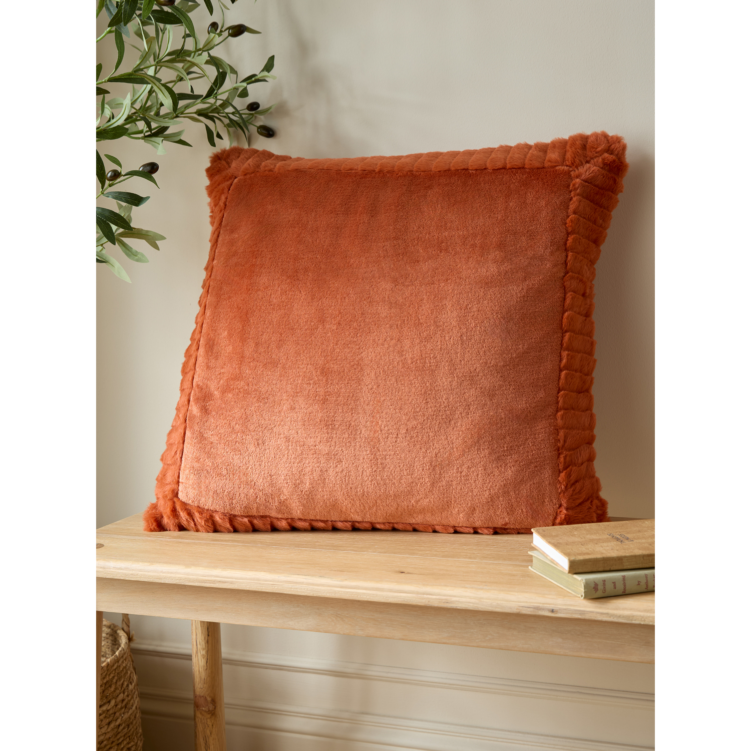 Cat Burnt Orange Catherine Lansfield Orange Velvet And Faux Fur Cushion