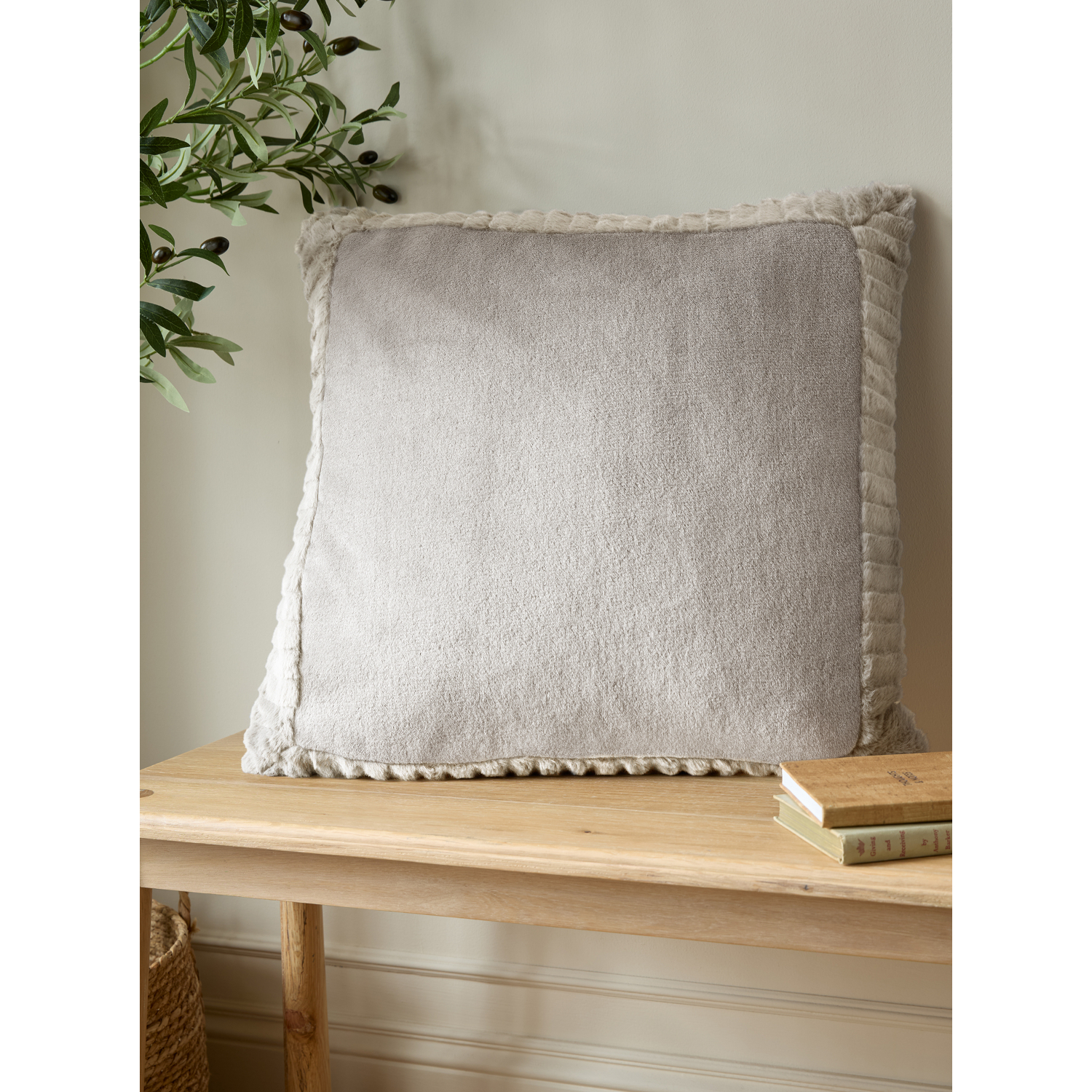 Cat Natural Catherine Lansfield Velvet And Faux Fur Cushion