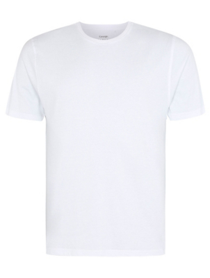 white crew neck t shirt mens