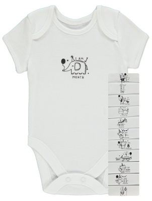 12 month milestone bodysuits