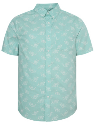 mint green oxford shirt