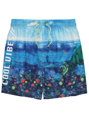 dinosaur swimming shorts