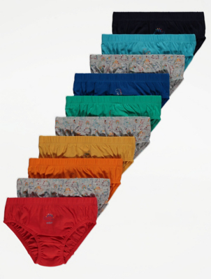 Dinosaur Print Briefs 10 Pack