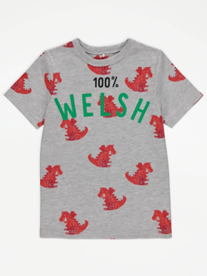 Grey 100% Welsh Slogan Print T-Shirt