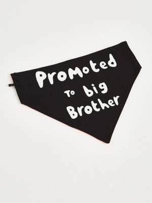 Promoted To Slogan Bandana Dog Collars Home at ASDA