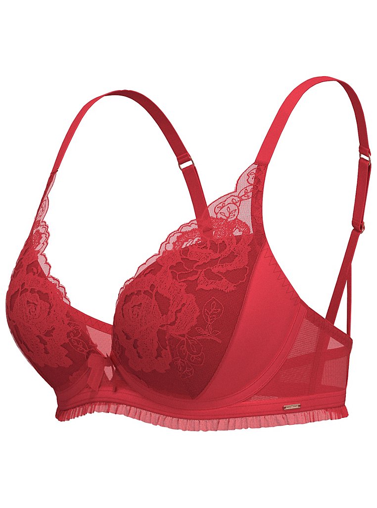 Entice Red Rose Embroidered Plunge Padded Bra