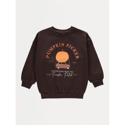 George Chocolate Pumpkin Picker Kids Matching Sweatshirt - Chocolate Brown