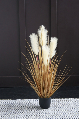 Cream Pampas In Pot 90Cm Home at ASDA