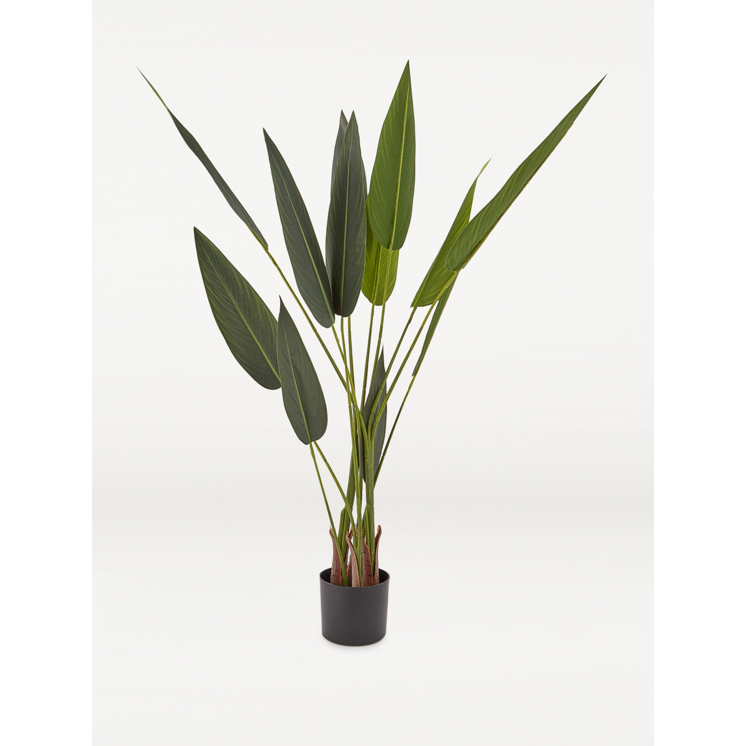 George Green Artificial Bird Of Paradise In Black Pot 130Cm