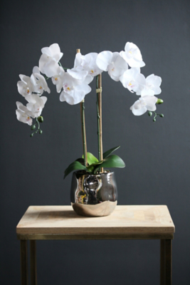 54cm Real Touch Orchid in Silver Pot Home at ASDA