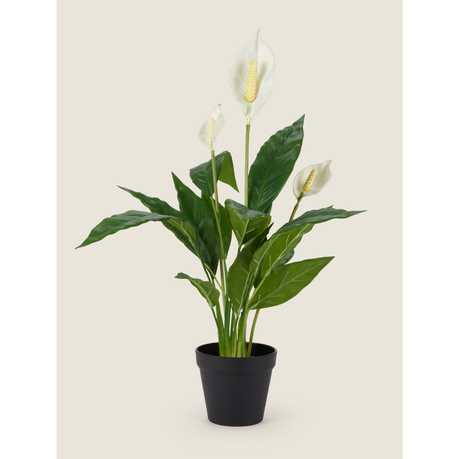 George Green Real Touch Artificial Peace Lily 60Cm