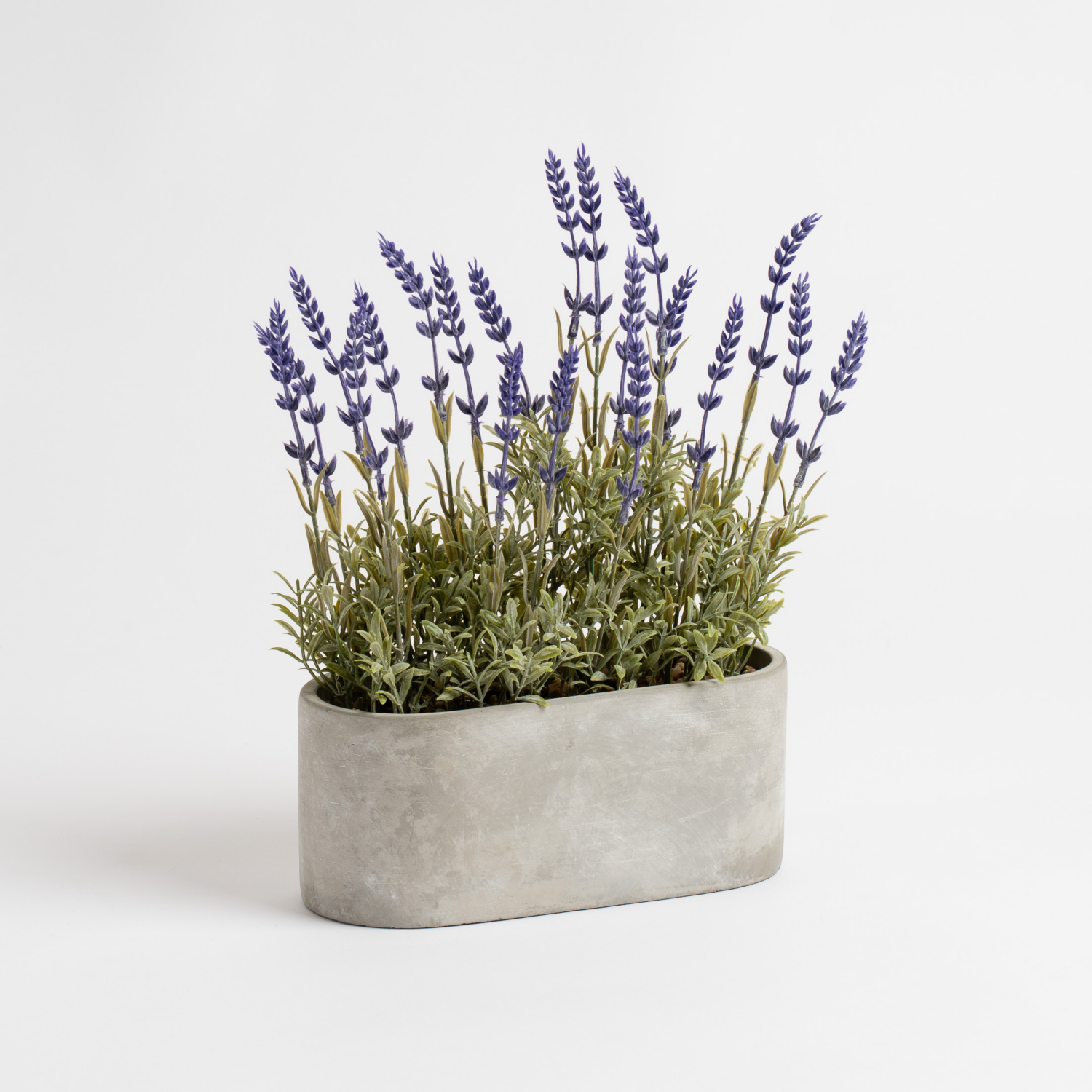 George Green Scottish Everlastings 35Cm Lavender In Oval Trough