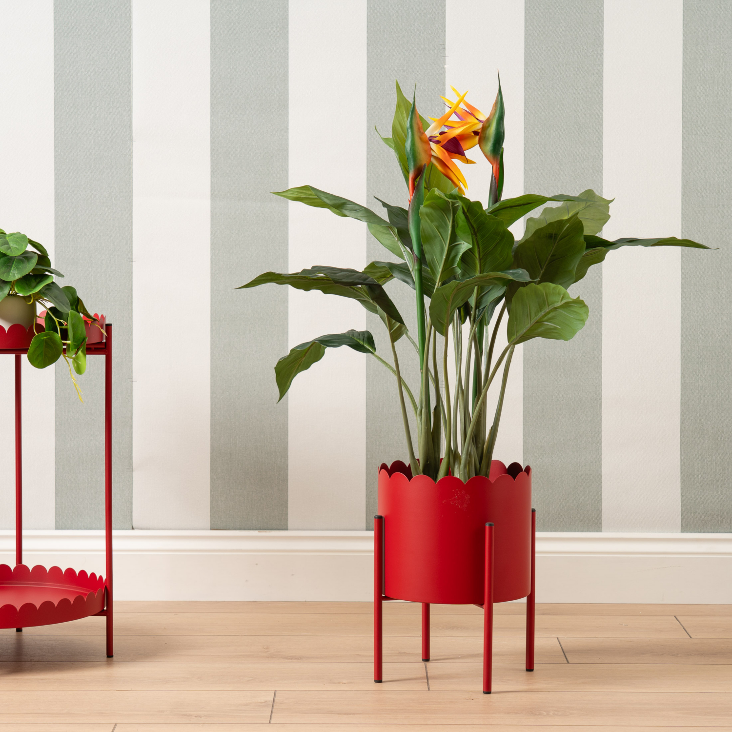 George Red Scottish Everlasting Scallop Planter On Stand
