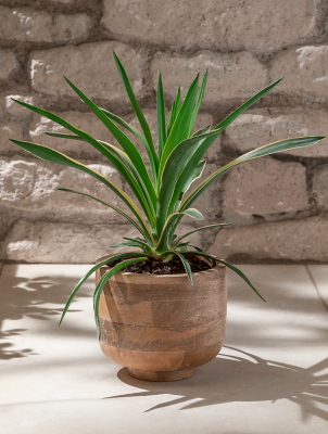 Brown Wooden Plant Pot Outdoor & Garden at ASDA