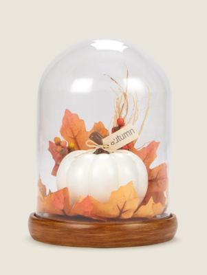 Pumpkin Bell Jar | Home | George at ASDA