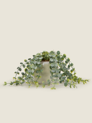 String Of Nickels Artificial Plant Home at ASDA