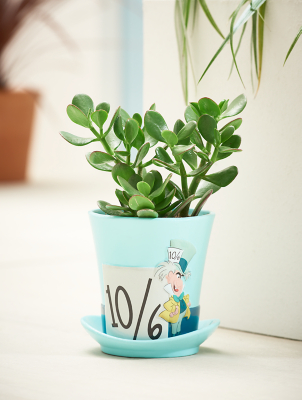 Disney 3D Mad Hatter Plant Pot Outdoor & Garden at ASDA