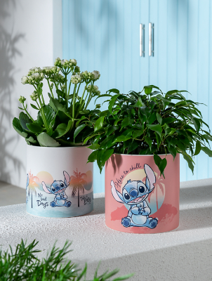 Disney Stitch Planter Set of 2 Outdoor & Garden at ASDA