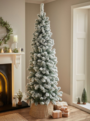 Green 7ft Bryant Flocked Spruce Christmas Tree Christmas at ASDA
