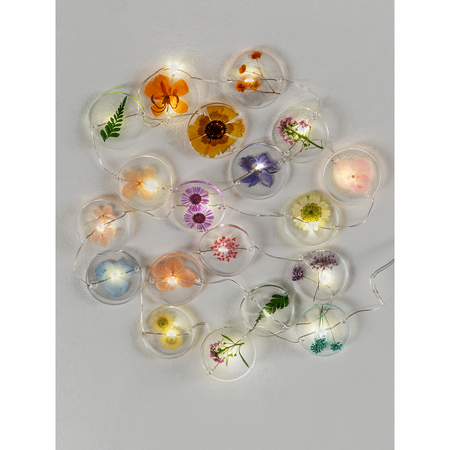 George Multi 19 Dry Flower Colourful Led String Lights