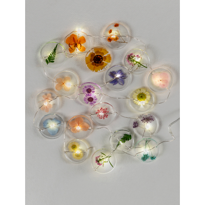George 19 Dry Flower Colourful LED String Lights - Multi