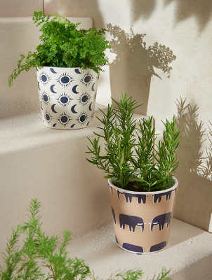 Printed Plant Pots 2 Pack Outdoor & Garden at ASDA