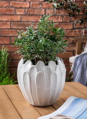 Flower Shaped Planter Outdoor & Garden at ASDA