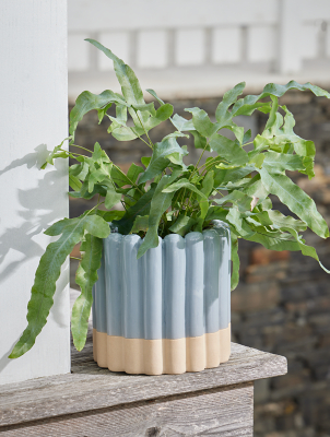 Light Blue Ribbon Planter Outdoor & Garden at ASDA