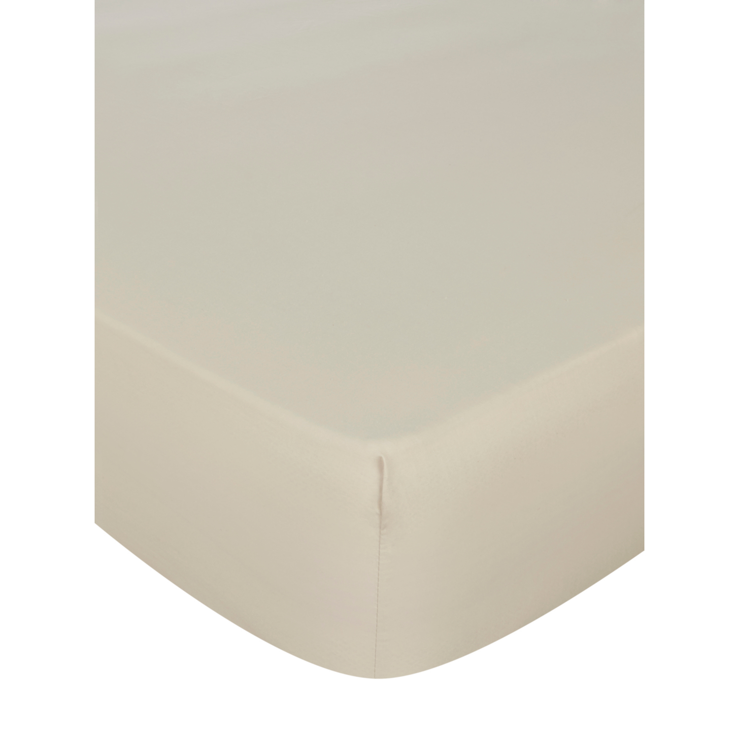 George Cream Plain Fitted Sheet