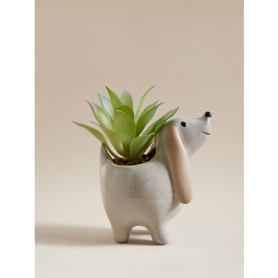 George Home Cream Dog Succulent Plant